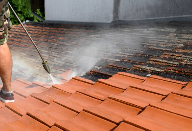 Best Local Pressure Washing Services  in Magee, MS
